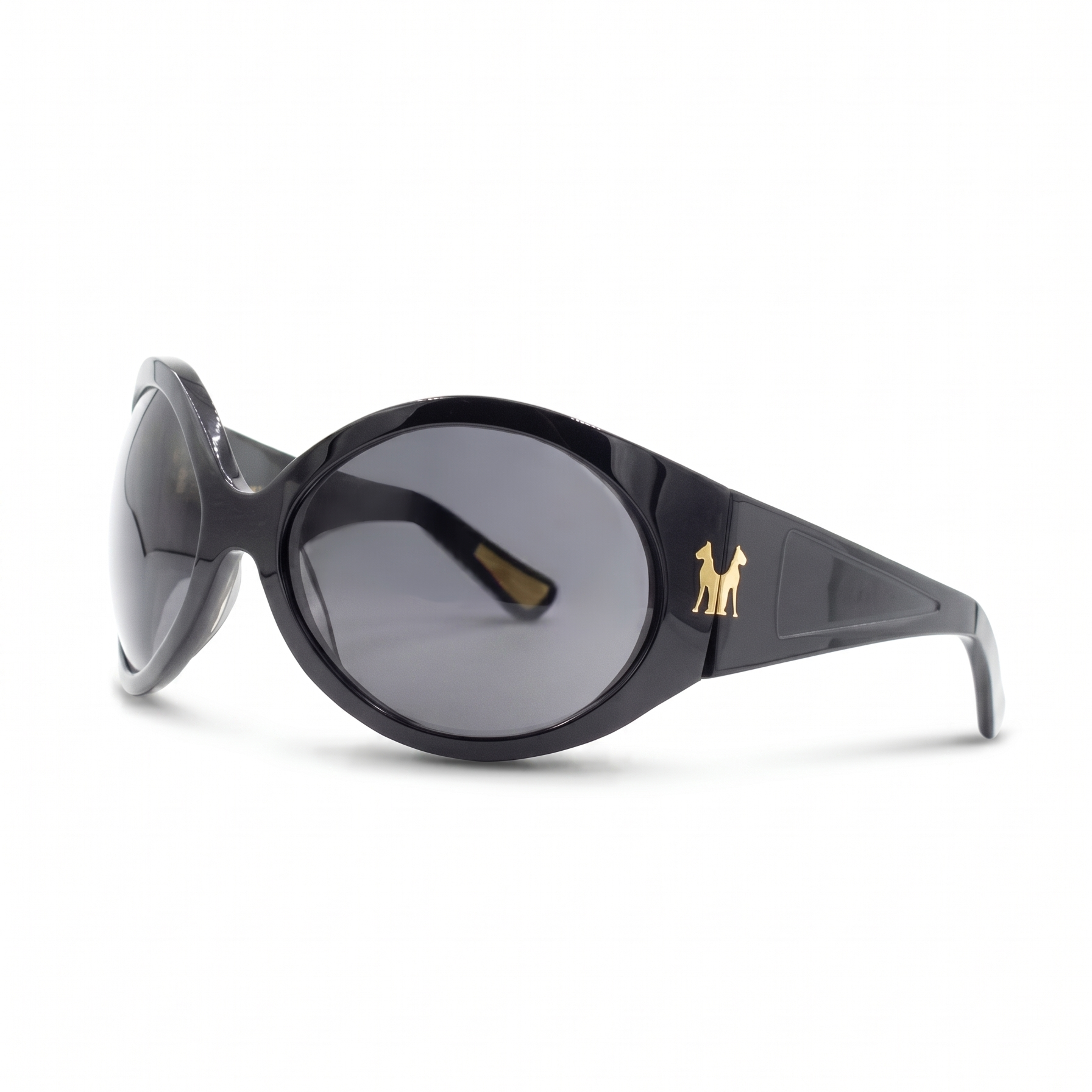 Black sunglasses with a logo on a white background
